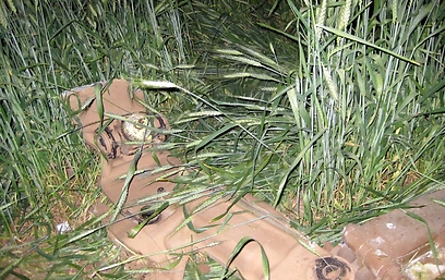 שרידי המסוק שהתרסק (צילום: yyz) (צילום: yyz)