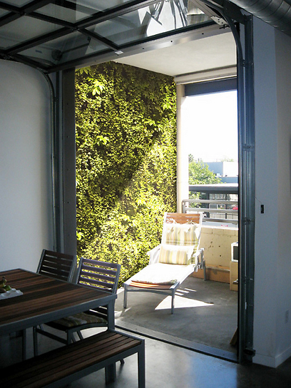 קיר ירוק במרפסת. גינה בתלת-ממד (צילום: משתלות וונדי) (צילום: משתלות וונדי)