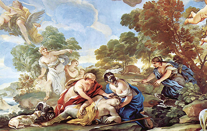 מותו של אדוניס. צייר לוקה ג'ורדנו ()