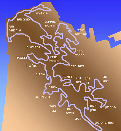 מפת שביל חיפה (צילום: גיא שחר) (צילום: גיא שחר)