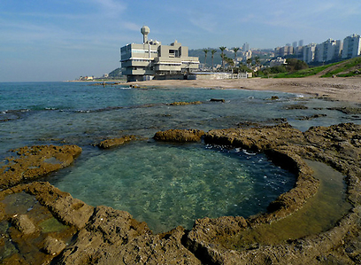 רצועת החוף הכי יפה של חיפה.שמורת חוף וים שיקמונה (צילום: גיא שחר) (צילום: גיא שחר)