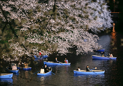 רומנטיקה בטוקיו (צילום: EPA) (צילום: EPA)