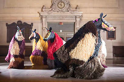 צילום: Travis Magee צילום: Travis Magee