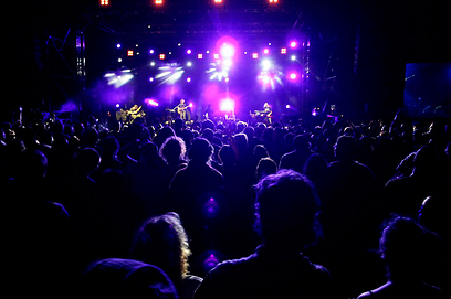 צילום: אליעד לוי צילום: אליעד לוי