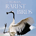 The Worlds Rarest Birds Book