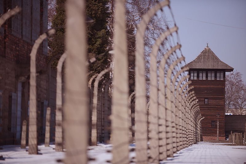 גיבור שמעוצב כטירון בתעשיית השואה העכשווית. אושוויץ בירקנאו (צילום: ישראל ברדוגו) (צילום: ישראל ברדוגו)