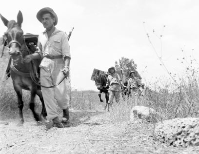 ב-1956 הגיע הסוף. גדוד נהגי הפרדות (צילום: ארכיון צה"ל במשרד הביטחון) (צילום: ארכיון צה