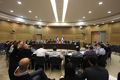 הדיון בוועדת הפנים של הכנסת (צילום: גיל יוחנן) (צילום: גיל יוחנן)