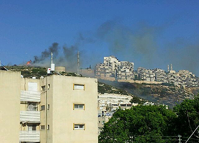 השתלטו על האש בחיפה  (צילום: אושר טקאטש) (צילום: אושר טקאטש)