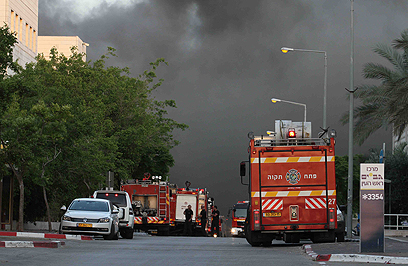 שריפה גדולה בפארק אפק בראש העין (צילום: עידו ארז) (צילום: עידו ארז)