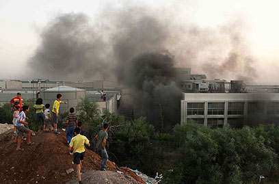 משקיפים על השריפה בפארק אפק (צילום: עידו ארז) (צילום: עידו ארז)