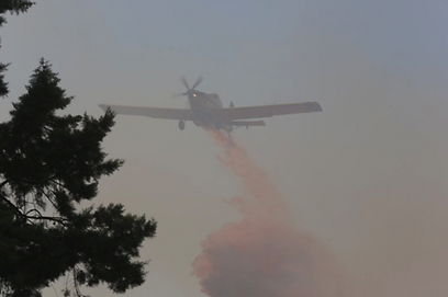 מטוס כיבוי מעל השריפה באזור לכיש (צילום: אוהד צויגנברג) (צילום: אוהד צויגנברג)