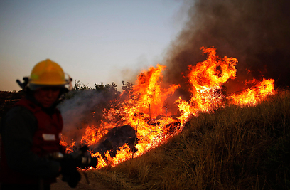 נאבקים בלהבות באזור לכיש (צילום: רויטרס) (צילום: רויטרס)