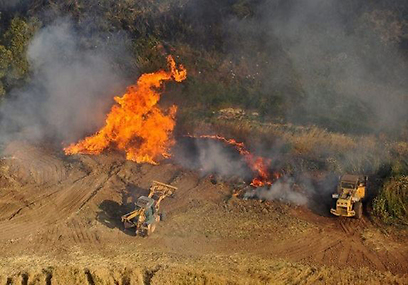 שדות כפר מנחם נשרפים (צילום: היחידה האווירית) (צילום: היחידה האווירית)