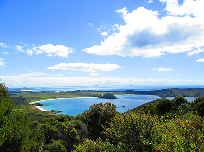 רק לשבת ולהביט על הנוף, לא יותר. חוף מאטאיי ביי בניו זילנד (צילום: יוחאי רובל) (צילום: חנה וגיא טבק) (צילום: חנה וגיא טבק)
