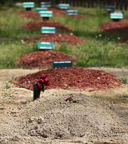 קברו של טמרלן צרנייב. "הקהילה המוסלמית רותחת" (צילום: AP) (צילום: AP)
