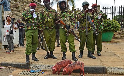 חיילים וחזירונים בניירובי (AFP) (AFP)