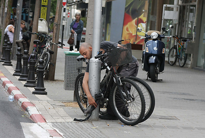 מי החצוף שקשר את האופניים שלו לשלי? עידן רייכל  (צילום: מוטי לבטון) (צילום: מוטי לבטון)