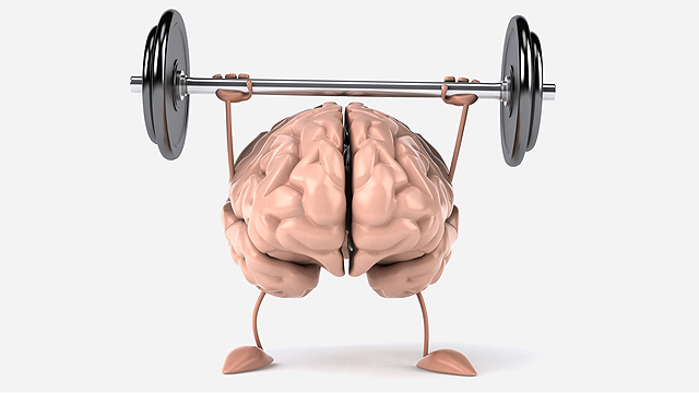 לשמור על פעילות המוח. שיטות שמגבירות יעילות (צילום: shutterstock) (צילום: shutterstock)