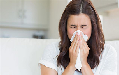 גרד באף, גודש ונזלת הם מהתסמינים הראשונים לאלרגיה (צילום: ShutterStock) (צילום: ShutterStock)