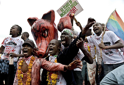 חזירים. אזרחי קניה לא אהבו את ההחלטה להעלות את משכורות הפוליטיקאים ורבים מהם יצאו להפגין מול בניין הפרלמנט בניירובי (צילום: AFP) (צילום: AFP)