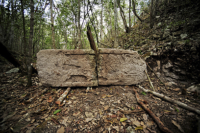 מגרשי משחקים ועמודים מפוסלים נמצאו בלב הג'ונגל (צילום: רויטרס) (צילום: רויטרס)