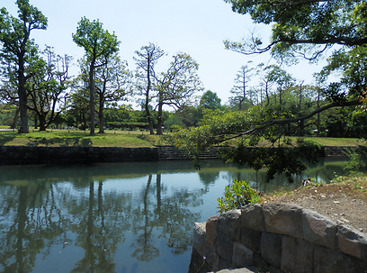 הפארק הקיסרי בלב טוקיו (צילום: יוסף ג'קסון) (צילום: יוסף ג'קסון)