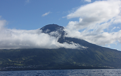 2,350 מטרים מעל פני הים. הר פיקו (צילום: דפנה טריואקס) (צילום: דפנה טריואקס)