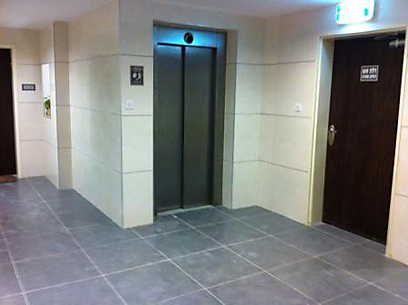 צילום: שרונה פומס צילום: שרונה פומס