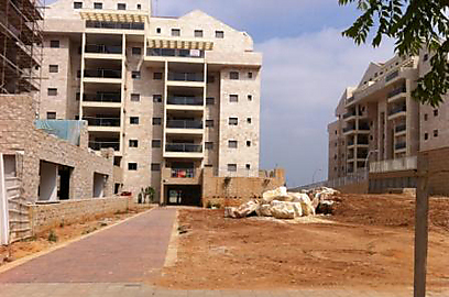 צילום: שרונה פומס צילום: שרונה פומס