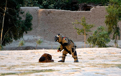 החבלן האפגני ניגש למשימה (צילום: רויטרס) (צילום: רויטרס)