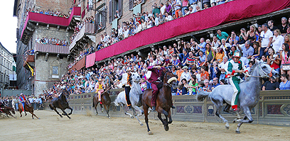 כוח סוס. צופים רבים הגיעו למרוץ הסוסים המסורתי "הפאליו של סיינה" שנערך מסביב לכיכר פיאצה דל קמפו בעיר. המרוץ הראשון נערך בעיר האיטלקית בשנת 1310 ומאז מקיימים אותו פעמיים בשנה - בחודש יולי ובחודש אוגוסט (צילום: AFP) (צילום: AFP)