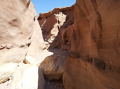 טיול בין צל לשמש והרבה אבן חול. הקניון האדום (צילום: זיו ריינשטיין)  (זיו ריינשטיין) (זיו ריינשטיין)