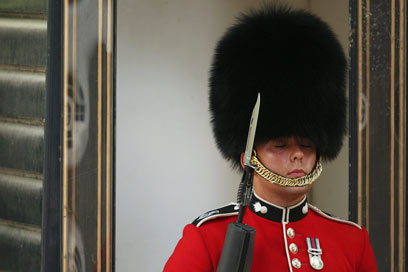 תפקיד תובעני במיוחד. חייל משמר המלוכה בבית קלרנס בלונדון (צילום: גטי אימג'בנק) (צילום: גטי אימג'בנק)