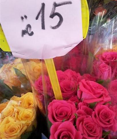 10 ורדים קצרים ב-15 שקל. חנות "פרח הגפן" בת"א (צילמה: מירב קריסטל) (צילמה: מירב קריסטל)