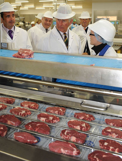 צ'רלס במפעל בשר ביורק (צילום: AFP) (צילום: AFP)