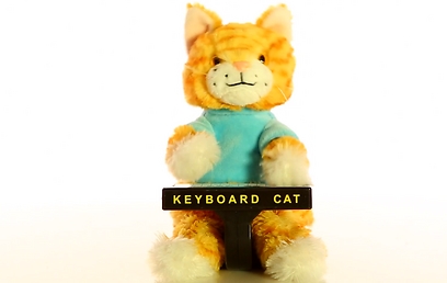 Keyboard Cat - הבובה ()