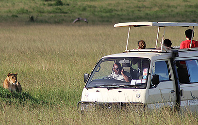 להיות לידם בעה"ח כשזה קורה. רכב הספארי במסאי מארה, קניה (צילום: מורן ניר) (צילום: מורן ניר)