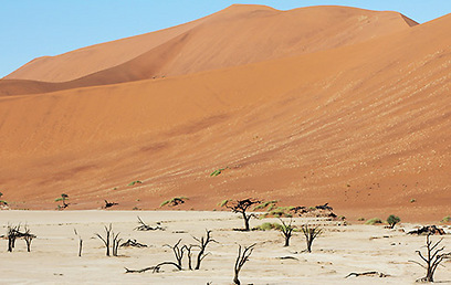 בואו בזריחה או בשקיעה. דיונות חול אדומות בסוסוסווליי, נמיביה (צילום: מורן ניר) (צילום: מורן ניר)