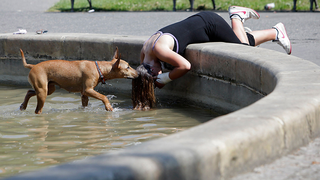 בצ'כיה החום הגיע ל-40 מעלות. גם הכלבים מחפשים מזור (צילום: רויטרס) (צילום: רויטרס)