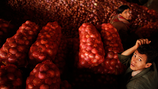 בין שקיות הבצלים בשוק בתימן (צילום: רויטרס) (צילום: רויטרס)