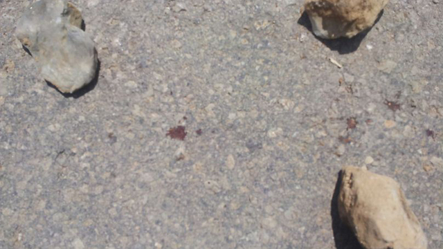 Traces of blood seen in Al--Manar photo