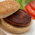 'Expert rabbis need to study this more carefully.' Lab-created burger 