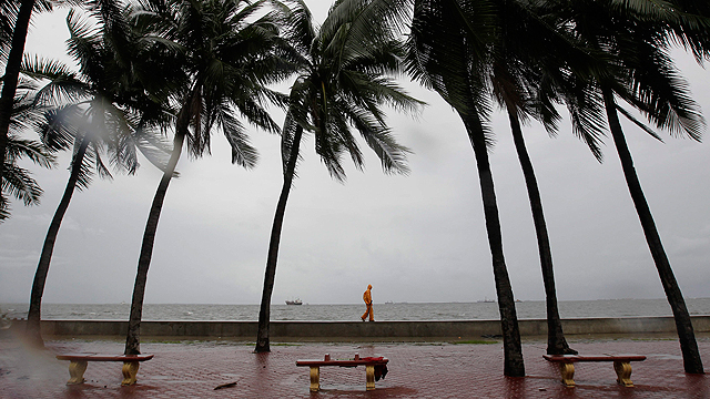 עצים ברוחות ובגשם של מנילה, עם בואו של טייפון "אוטור" לפיליפינים (צילום: EPA) (צילום: EPA)