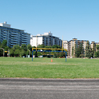 סביבה ישראלית במרכז טורונטו