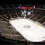 אולם הבית של הסנטורס. "הסקוטיה בנק פלייס"