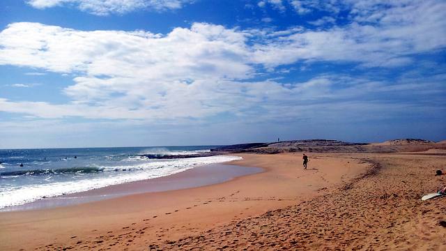 כן, מסתבר שהגל לא פחות טוב כאן. חוף בסרי לנקה (צילום: יריב כץ) (צילום: יריב כץ)