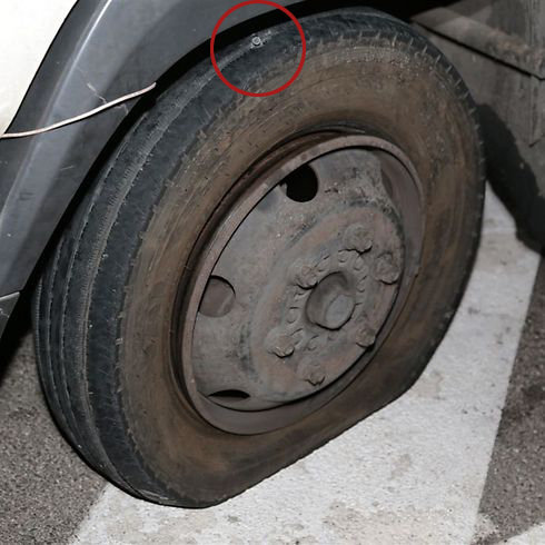 צילום: עופר עמרם צילום: עופר עמרם