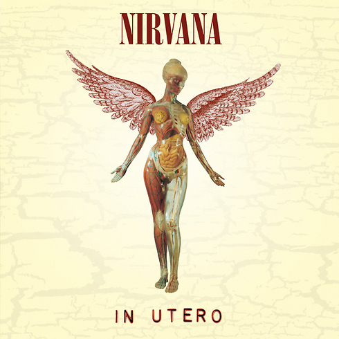 נירוונה "In Utero", עטיפת האלבום (צילום: עטיפת האלבום) (צילום: עטיפת האלבום)