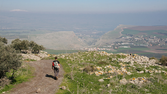 לטייל בין גבעות הגליל ולצפות אל הכנרת. שביל ישו (צילום: דיוויד לנדיס) (צילום: דיוויד לנדיס)